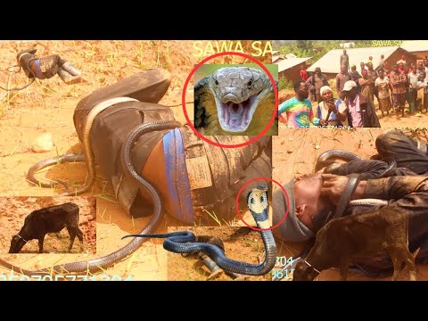 UMUGABO BAMUTEJE INZOKA YIBYE INKA //BITEYE UBWOBA ABATURAGE BARAHUNZE