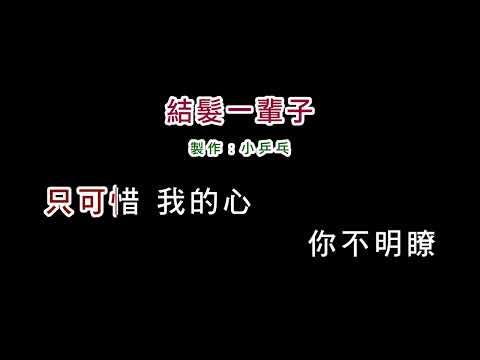 (演唱版)林慧萍-結髮一輩子(DIY卡拉OK字幕)