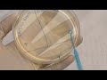 Bacterial Streaking Techniques and Practices