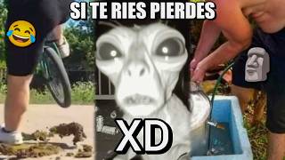 😂 VIDEO MEMES RANDOM XD #57, Si Te Ries Pierdes, Videos De Risa, Funny Tiktok, Try Not To Laugh