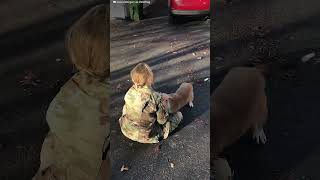 Dog Reunites With His Mom After A Year | The Dodo