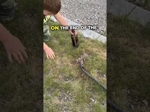 LiL bro's plan backfired ๐