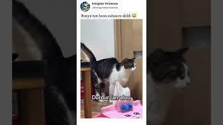 Rusya'nın hava sahasını deldi 😂