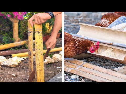 Build Your Dream Farm and Raise Chicken Like a PRO!