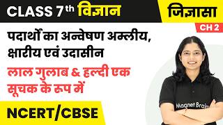 लाल गुलाब & हल्दी एक सूचक के रूप में - पदार्थों का अन्वेषण:  | कक्षा 7वीं विज्ञान | Ch 2 | CBSE