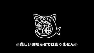 吾猫チャンネルの今後について。