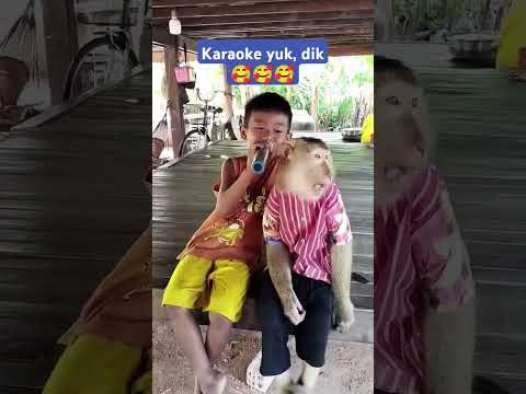 Karaoke Sama Adik #funny #monyet #monyetlucu #monkey