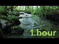 Understanding Water Clarity