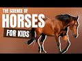 Understanding Horses: History and Care