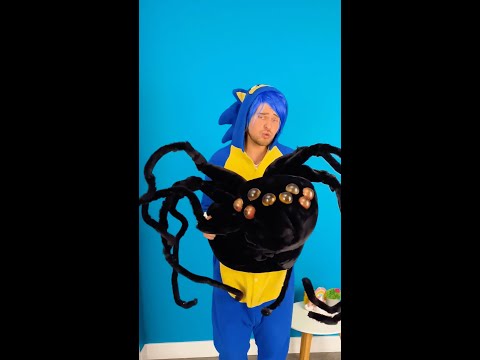 Call Spider Huntsman🚨 THIS SPIDER IS TOO BIG😲