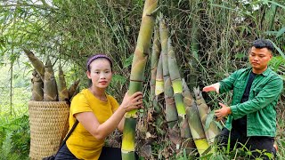 Harvesting bamboo shoots: The farmer's perfect peeling technique. l Lý Thị Sai