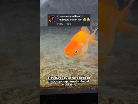 Is that Adolf Fishler??