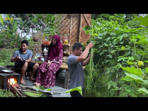 spesial di masakin suami, panen kacang panjang, lanjut masak tumis , telur dadar,tempe goreng