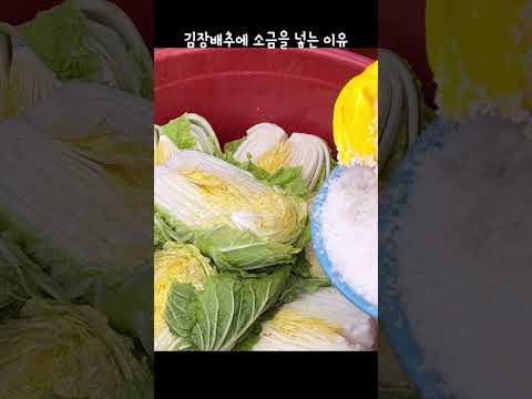 도둑 맞은 배추