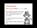 Exploring Pronouns and Antecedents