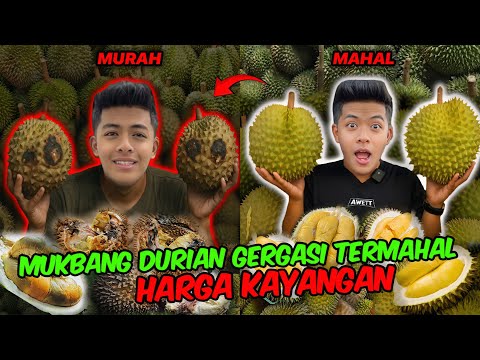 MUKBANG DURIAN GERGASI HARGA KAYANGAN!!! TRAUMA TERTELAN BIJI DURIAN SAMPAI TERCEKIK?!