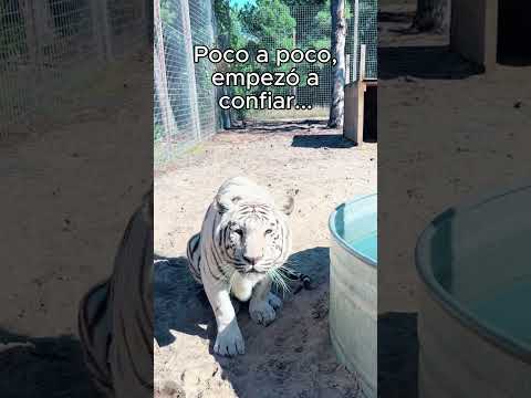 Los animales también tienen sentimientos! ❤️