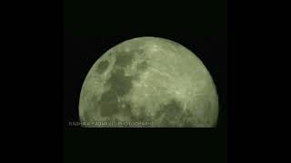 The Magnificent Moon: By Rádhíká Fádńávíک