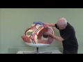 Heart Anatomy and Function Assessment