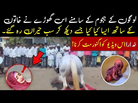 Khudara Is Video Ko ignore Na Karna || اس گھوڑے نے خاتون کے ساتھ ایسا کیا کیا