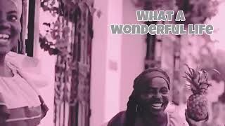 Josh Harris with the Soul Commandos feat. Marty Dread-Wonderful Life (Lyric Video)