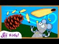 Pine Cones and Seed Dispersal