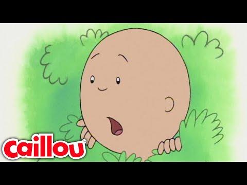 Caillou już się nie boi | Kajtuś - WildBrain | Pełne odcinki