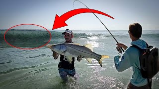 SNOOKZILLA! Random Florida Beach Loaded with Live Bait