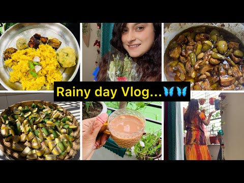 বৃষ্টির সারাদিন কি কি করলাম/অনেকদিন পর একটা নিজের মত দিন পালন করলাম #riteesvlogs #dailyvlog