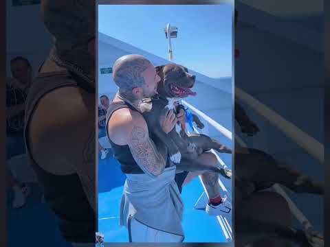 Mino so happy #dog #americanbully #music #family #song #love #doglove #baby