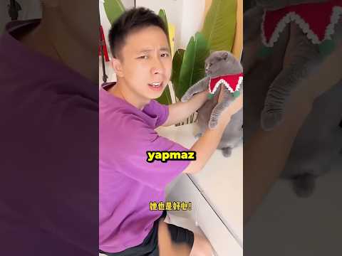 KEDİ Babamı ÇILDIRTTI!