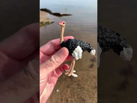 Wild Animal Toy in Sand Goes into Water - Muddy Ostrich, Green Turtle #shorts #animalsforkids