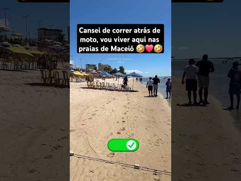 Caramelo de férias #youtube #modapet #shortsviral #mensagem #shortvideos #petsfofinhos  #pets