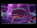 Exploring DNA Transcription and Translation