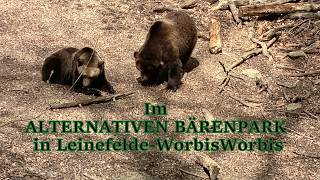 Drr ALTERNATIVE BÄRENPARK in Worbis - Bären, Wölfe und andere Tiere in einem naturbelassenen Park