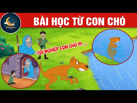 BÀI HỌC TỪ CON CHÓ  - TRUYỆN CỔ TÍCH - QUÀ TẶNG CUỘC SỐNG - HOẠT HÌNH CHO BÉ - HOẠT HÌNH