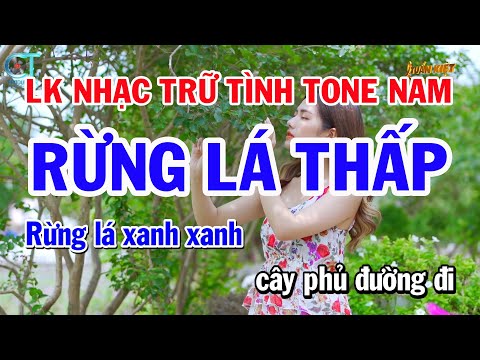 Liên Khúc Nhạc Trữ Tình Tone Nam – Rừng Lá Thấp – Đêm Buồn Tỉnh Lẻ  Dễ Ca