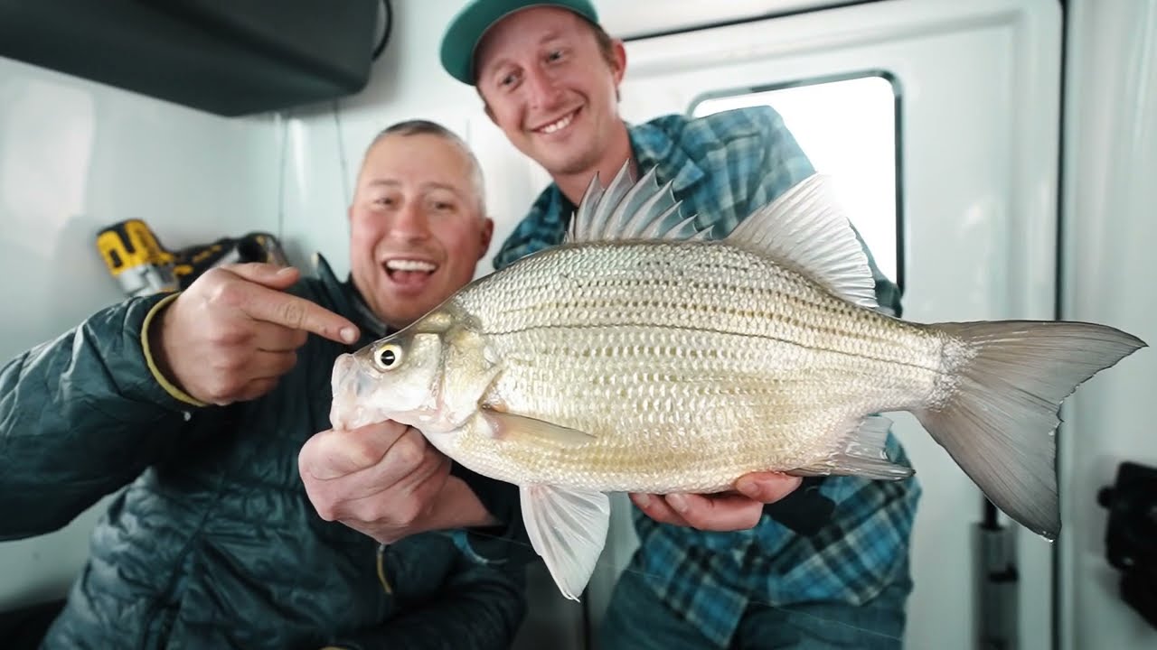 Multi-Species Beatdown on Devils Lake (New Personal Best) - Jay Siemens