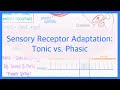 Sensory Receptors and Their Functions