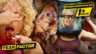 🕷️🎃😱 Fear Factor Made Them EAT LIVE SPIDERS!? 🕷️🤢 Spooky SZN Spider Compilation!
