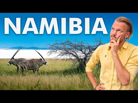 ETOSHA - Is Namibia's Most Famous National Park Actually Worth It?