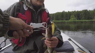 видео