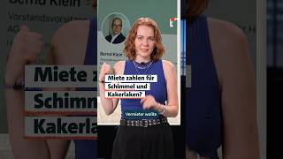Miete zahlen für Schimmel und Kakerlaken?