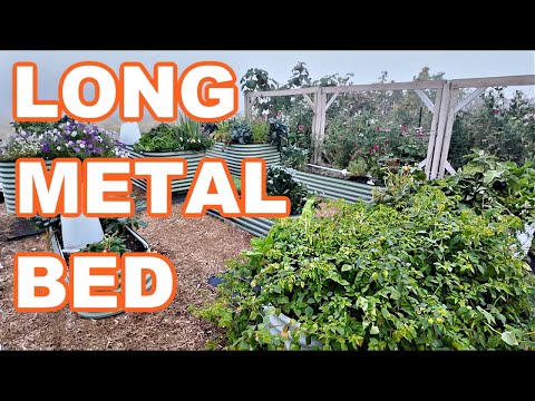 THE LONGEST METAL RAISED GARDEN BED FALL REVIEW (Anleolife)