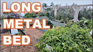 THE LONGEST METAL RAISED GARDEN BED FALL REVIEW (Anleolife)