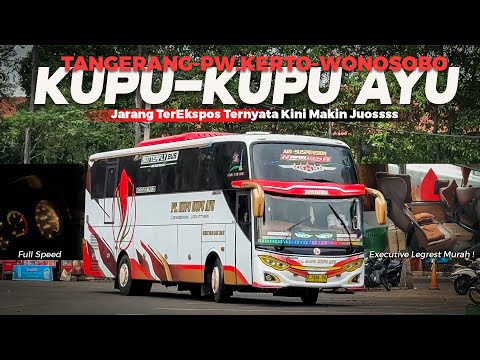 [ KAGET SAMA PELAYANAN NYA SEKARANG ! 😳] MAKIN MANTAP DI JALUR NGAPAK Trip Kupu-Kupu Ayu Purwokerto