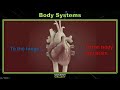 Exploring Body Systems for 5th Grade Science