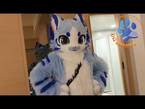 2024 Infurnity Vlog! 대만 초대형 퍼리행사 인퍼니티에 다녀오다!