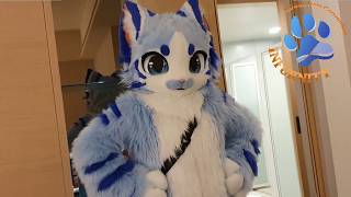 2024 Infurnity Vlog! 대만 초대형 퍼리행사 인퍼니티에 다녀오다!