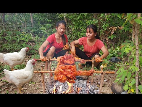 Survival in the rainforest- Catch and cook Two chicken, Chicken roast for jungle food